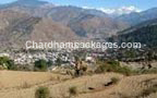 Hotels in Barkot